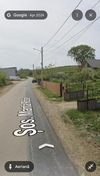 Spațiu comercial, în Vișan