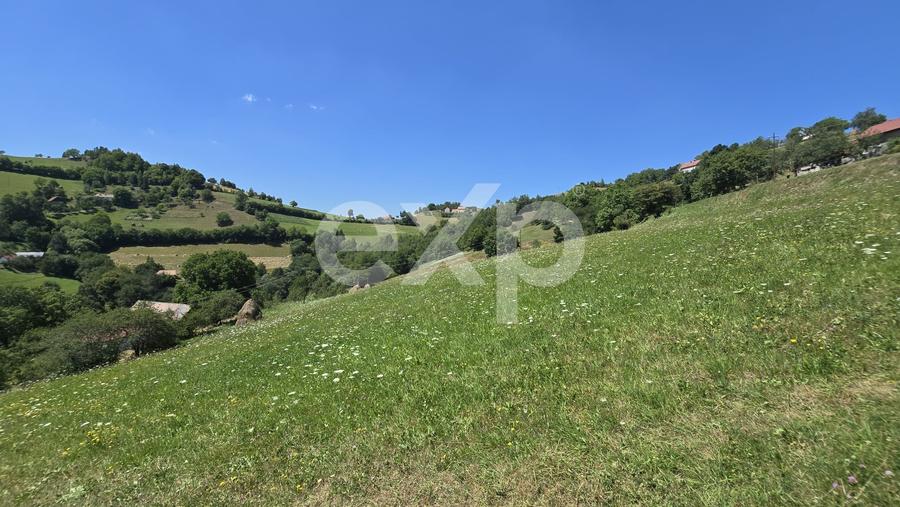 Teren agricol extravilan de 3757 mp, în Poiana Mărului