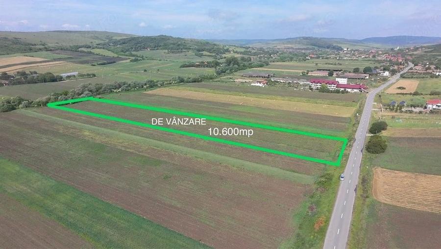 Teren de 10600 mp, în Borșa