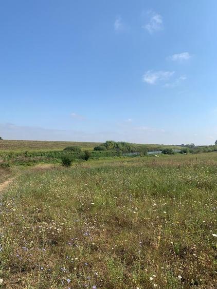 Teren Construcții intravilan de 4250 mp, în Snagov
