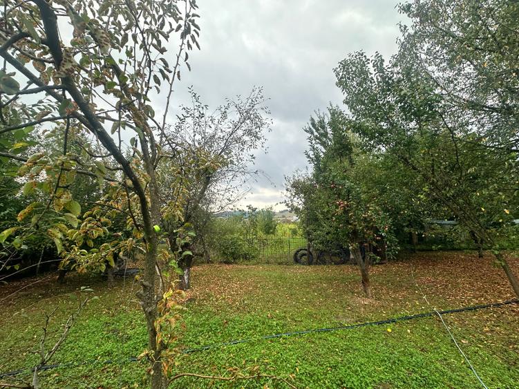 Spațiu comercial, de 450 mp, în Albești