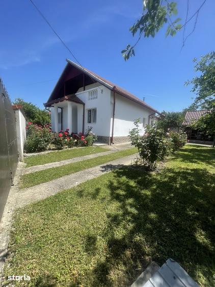 Casă cu 3 camere cu Teren 2300 Mp în Central