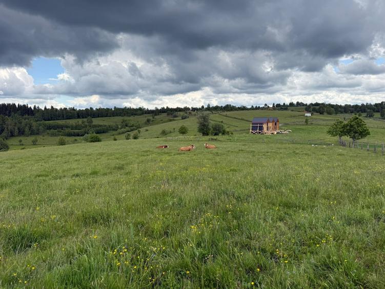 Teren agricol de 13600 mp, în Mărișel