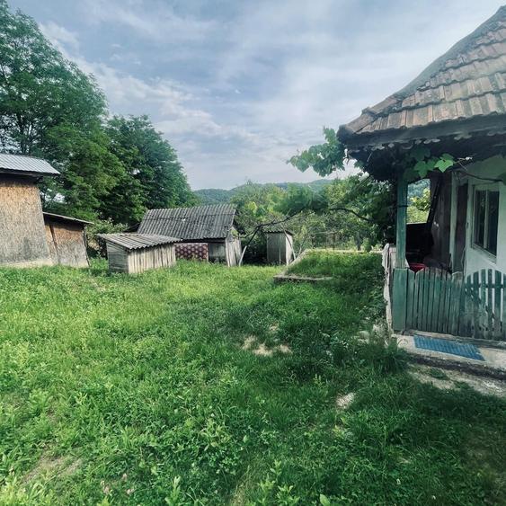 Casă cu 2 camere în Plai