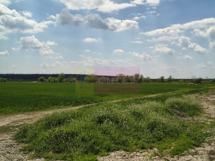Teren Construcții intravilan de 12450 mp, în Poșta