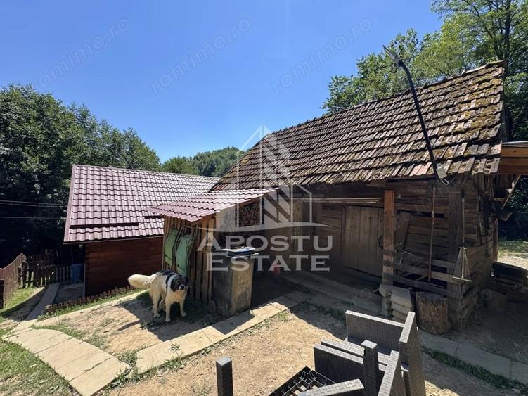 Casă cu Teren 771 Mp în Dumbrava
