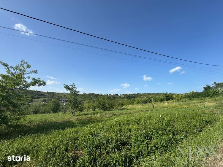 Teren de 3245 mp, în Dealuri Oradea