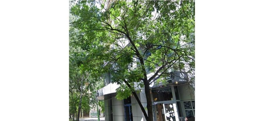 Apartament modern spatios Blv.Unirii - 1