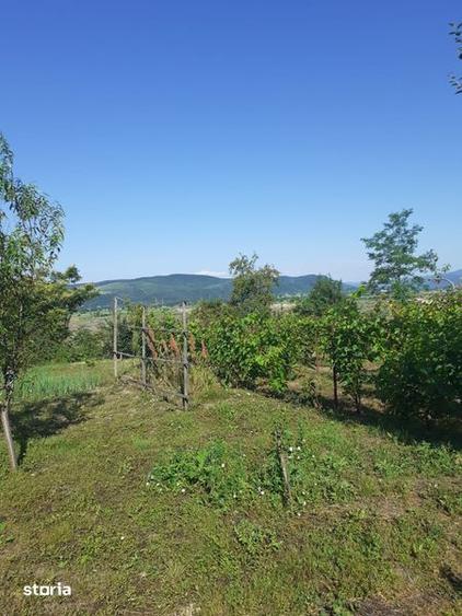 Casă cu 4 camere cu Teren 950 Mp în Berca