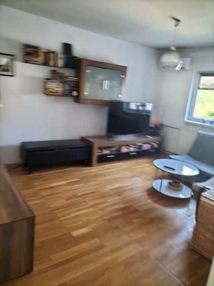 Apartament Luminos 2 camere. Vedere Parc Tineretului, Zona Pridvor. - 10
