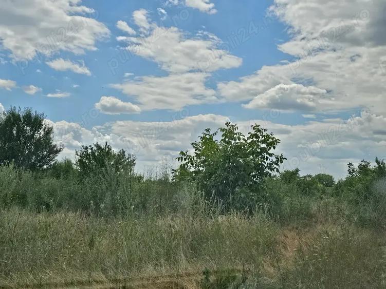 Proprietar vand teren 14.600 mp in Baneasa (zona Sisesti) - 3
