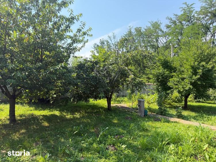 Casă cu 3 camere cu Teren 5000 Mp în Berceni
