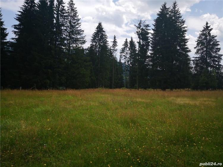 Teren de 50000 mp, în Central