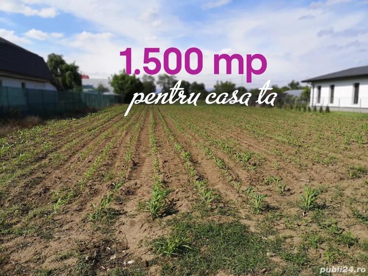 Teren de 1500 mp, în Căciulați