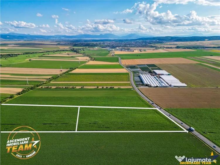 Teren de 30200 mp, în Valea Crișului