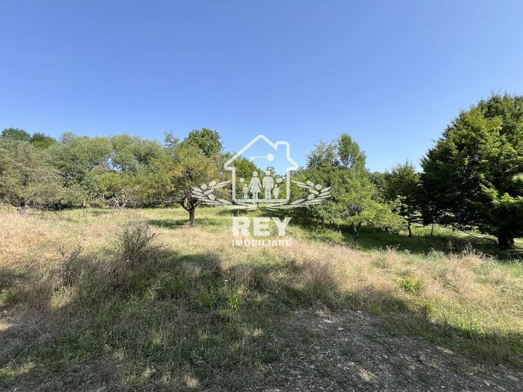 Teren Construcții intravilan de 855 mp, în Cisnădioara