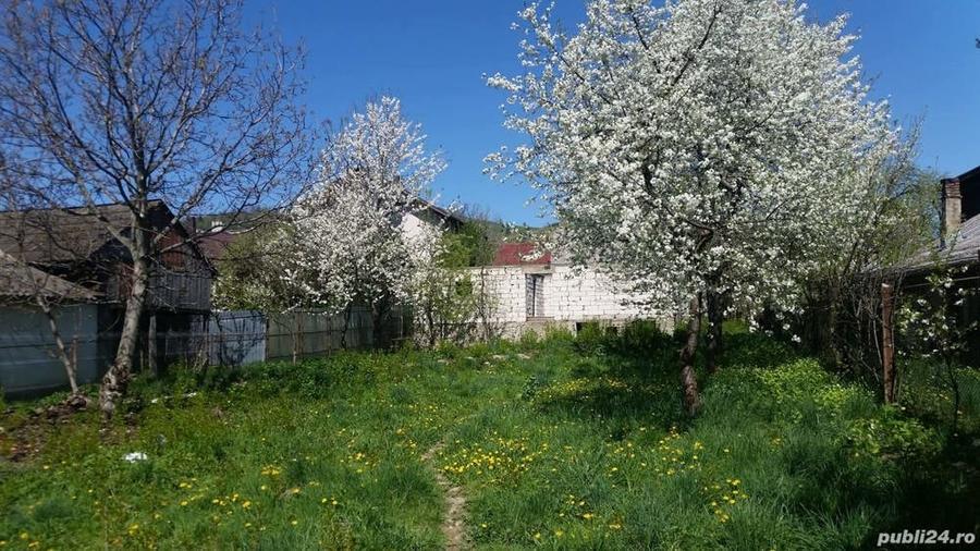 Teren în Central