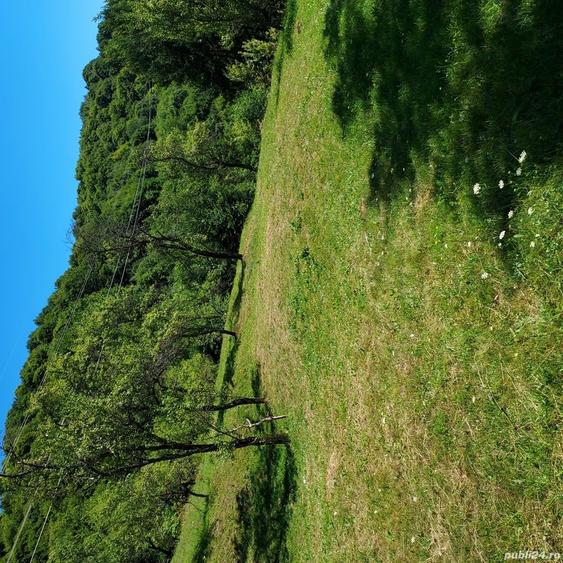 Teren de 3800 mp, în Arefu