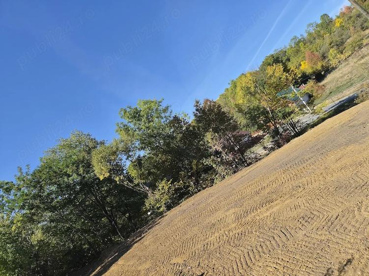 Teren de 1500 mp, în Mănăstireni