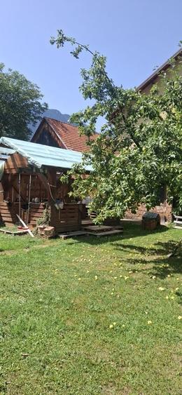 Teren de vanzare, - 5