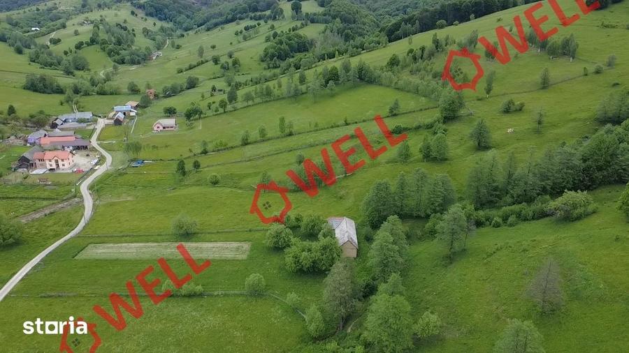 Teren de 3200 mp, în Barcani