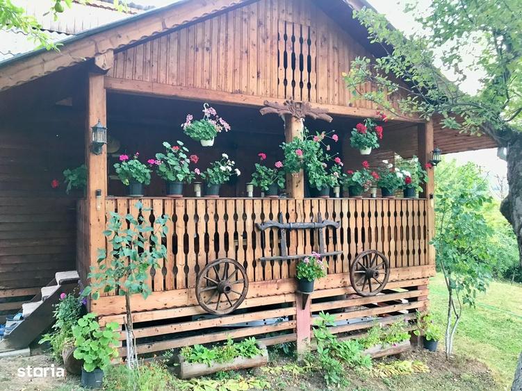 Casă cu 2 camere cu Teren 3400 Mp în Central
