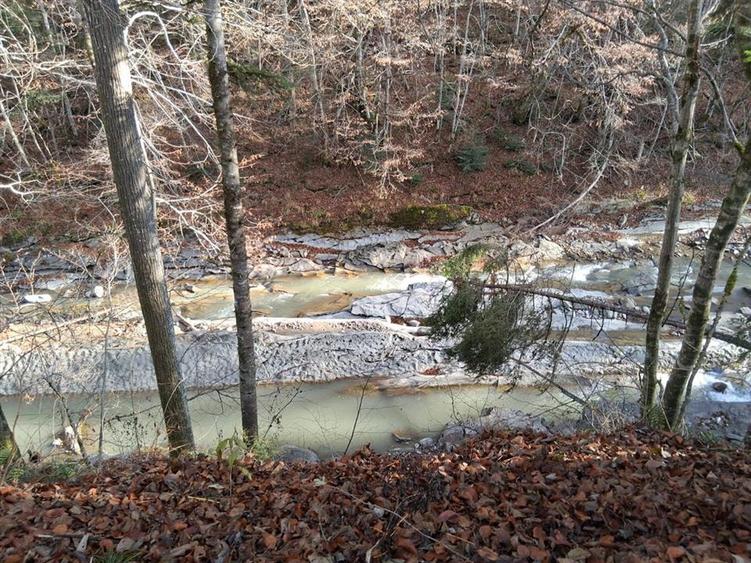Vand teren in Brates, Neamt, cu iesire la raul Tarcau - 1