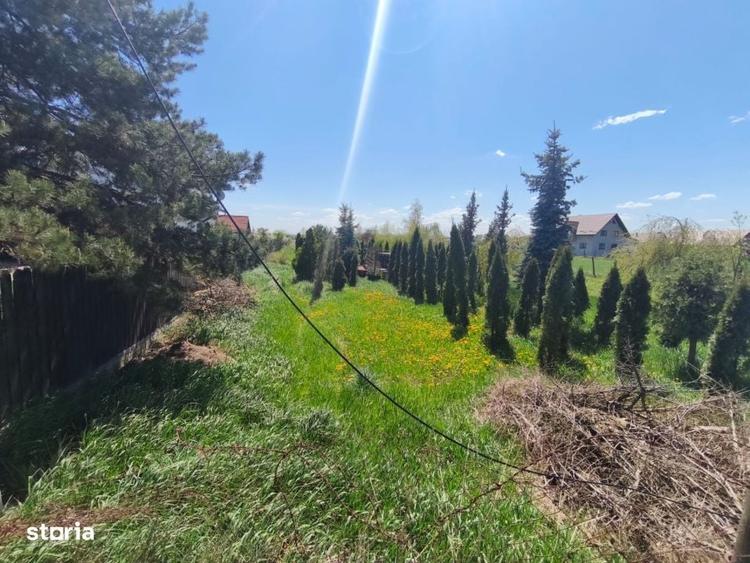 Teren intravilan, 4600mp, zona Francei, Radauti - 4