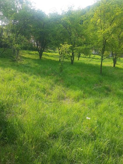 Teren de 2200 mp, în Vlădești