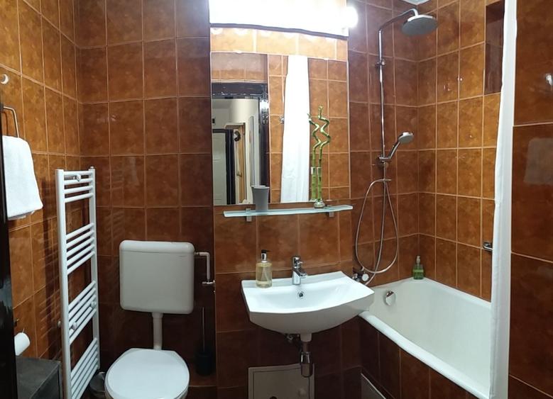 Apartament cu 2 camere decomandat în Ștrand