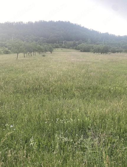 Teren de 2056 mp, în Mihăileni