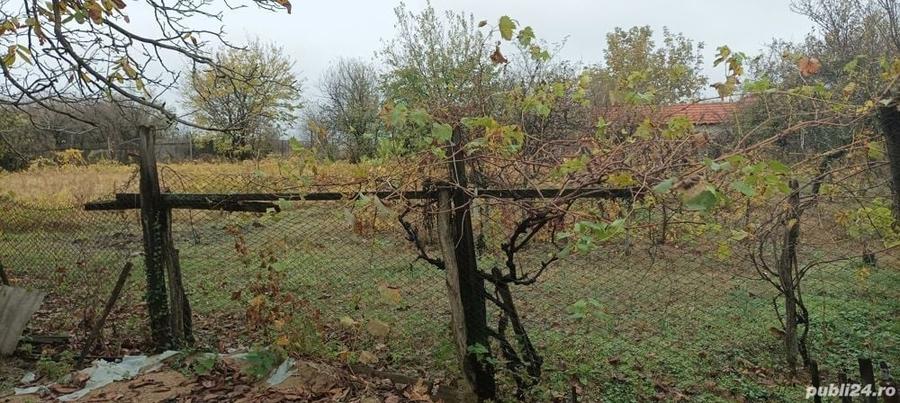 Casă cu 3 camere cu Teren 2493 Mp în Pădina
