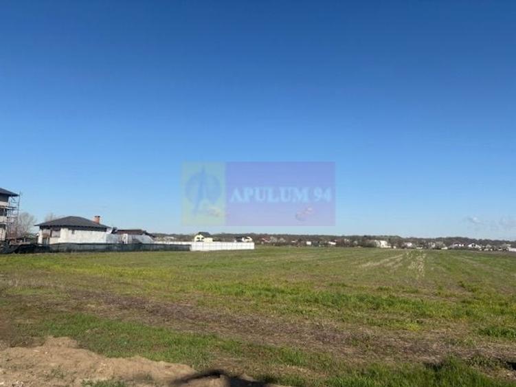 Teren Construcții intravilan de 4000 mp, în Ordoreanu