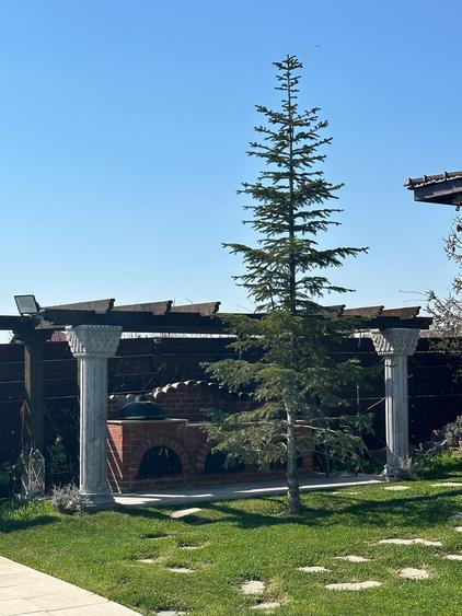 Casă individuală cu 8 camere cu Piscina în Corbeanca