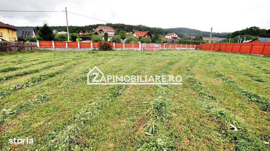 Teren Intravilan 5400 mp Corunca Valea Iubirii - 6