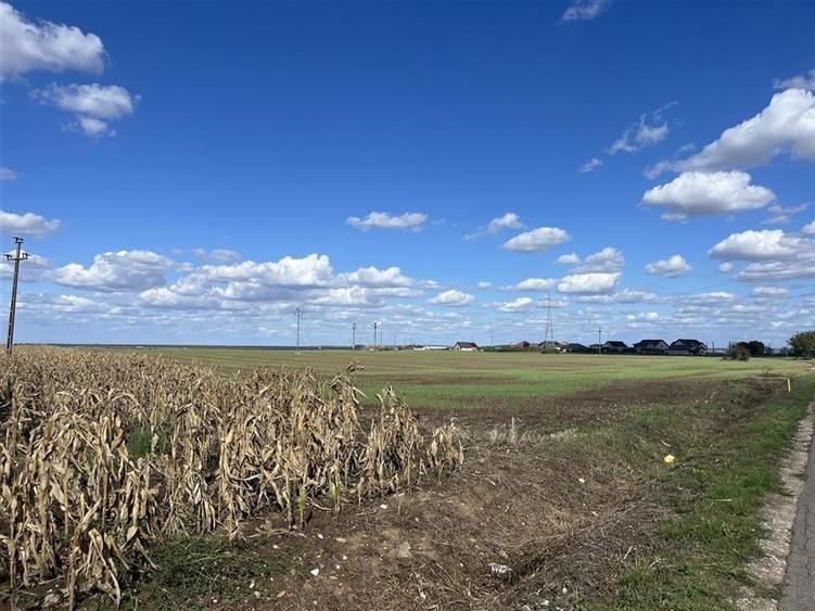 Teren Construcții intravilan de 558 mp, în Livada de Bihor