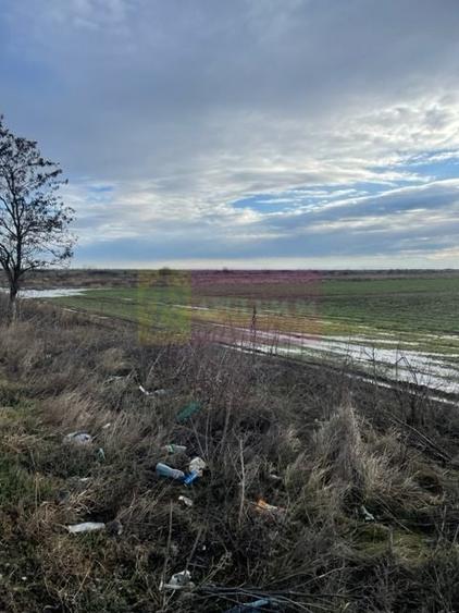 Teren agricol intravilan de 24108 mp, în Sud-Vest