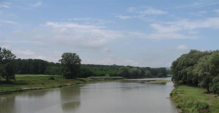 Teren extravilan de 180000 mp, în Șcheia