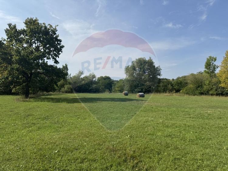 Teren Construcții intravilan de 10000 mp, în Călățele