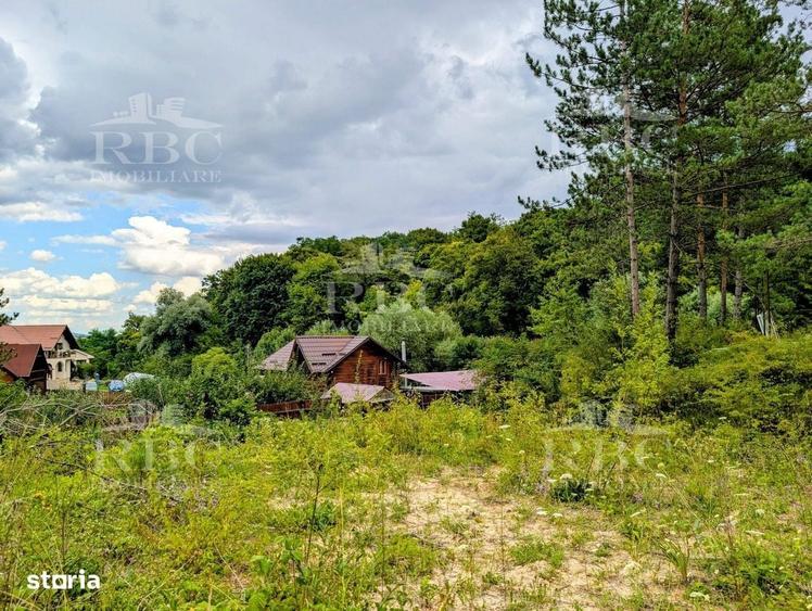 Teren intravilan pentru constructie casa in Cheile Baciului - 5