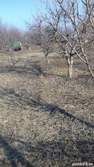 Teren de 2300 mp, în Blidari (Cârligele)