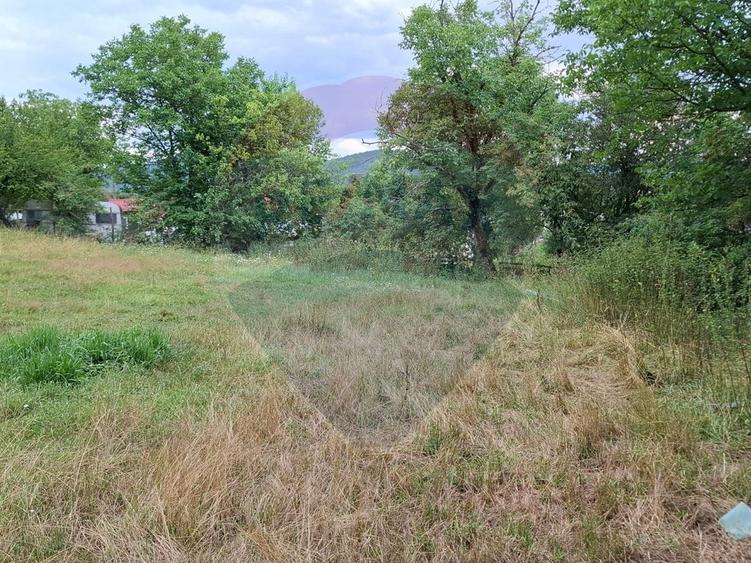 Teren Construcții intravilan de 2635 mp, în Bârzava