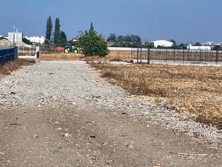 Vanzare Teren  industrial \5000mpMagurele Varteju - 3