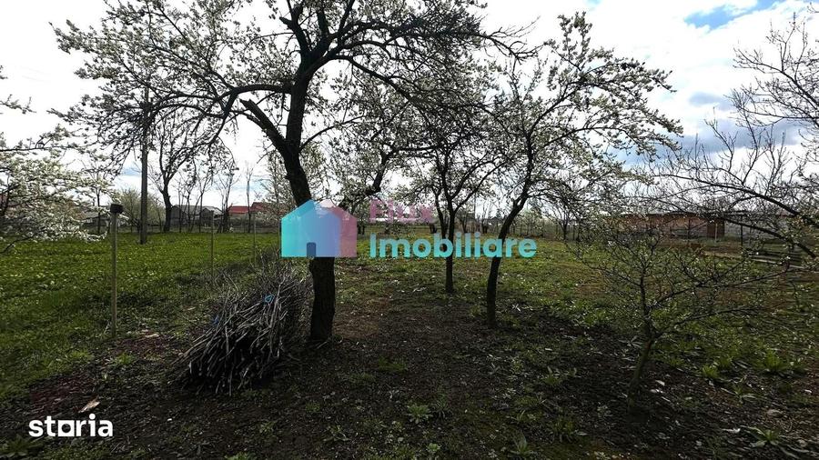 Casă cu 3 camere cu Teren 1410 Mp în Dumbrăveni