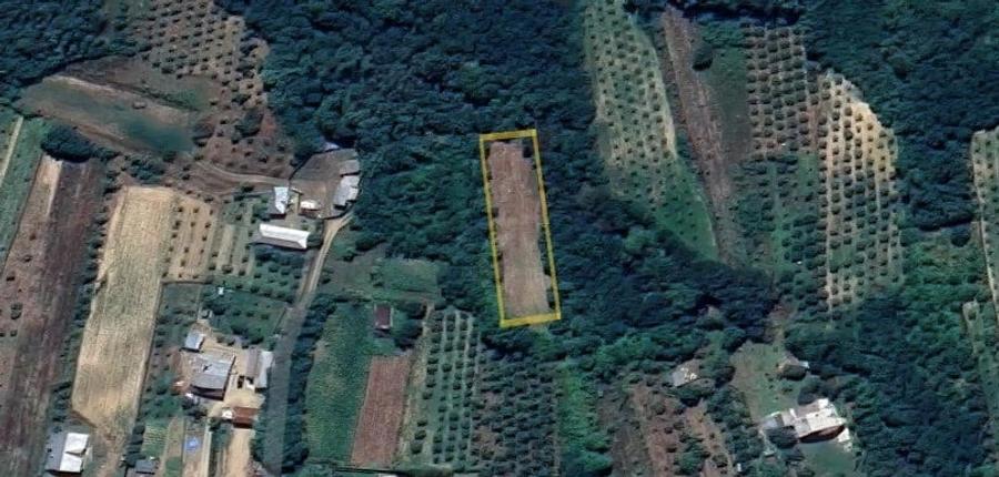 Teren de 1300 mp, în Bogați