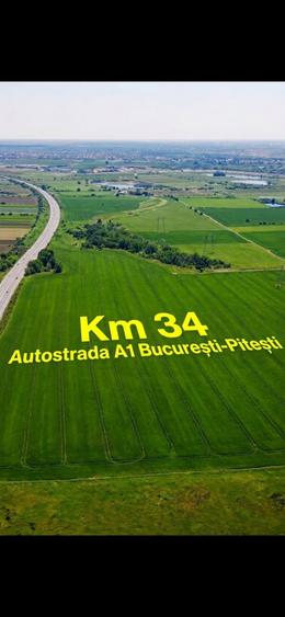 Teren agricol extravilan de 300000 mp, în Florești-Stoenești