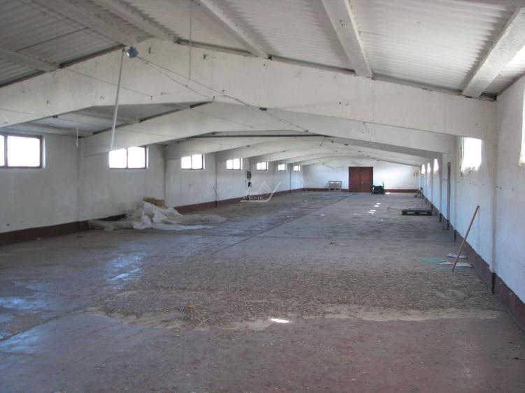 Teren Construcții intravilan de 3500 mp, în Nord-Vest