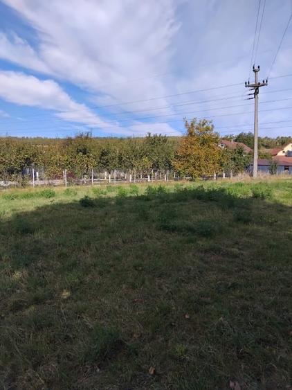 Teren Construcții intravilan de 2600 mp, în Livezile