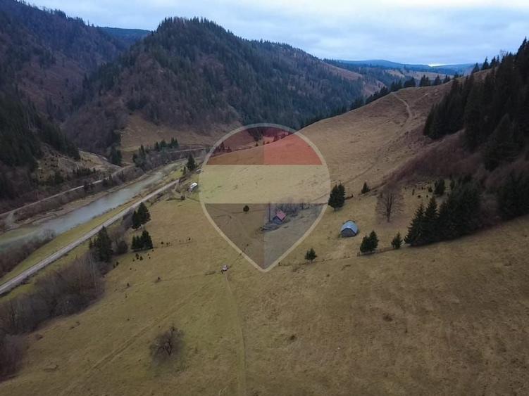 Teren Construcții intravilan de 35858 mp, în Rusca