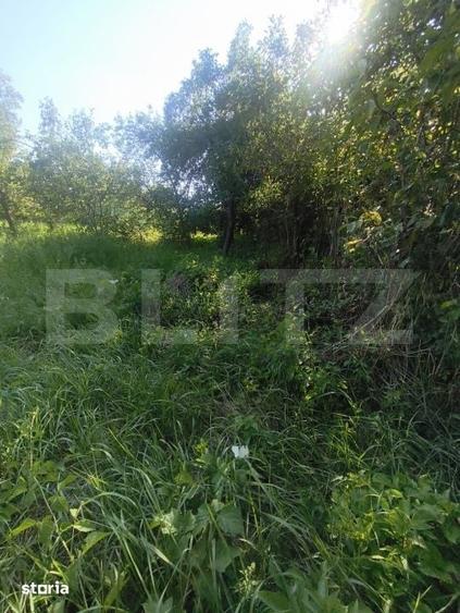 Teren intravilan, 700 mp, zona Lunca Muresului - 2